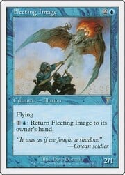 Fleeting Image 074