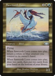 Sawtooth Loon 123