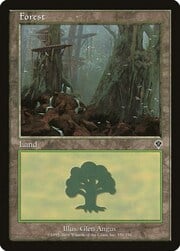 Forest · 350 350