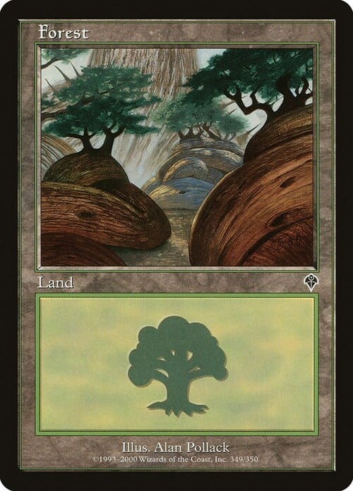 Forest Card Front