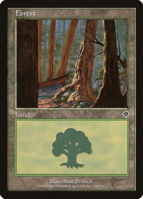 Forest Card Front