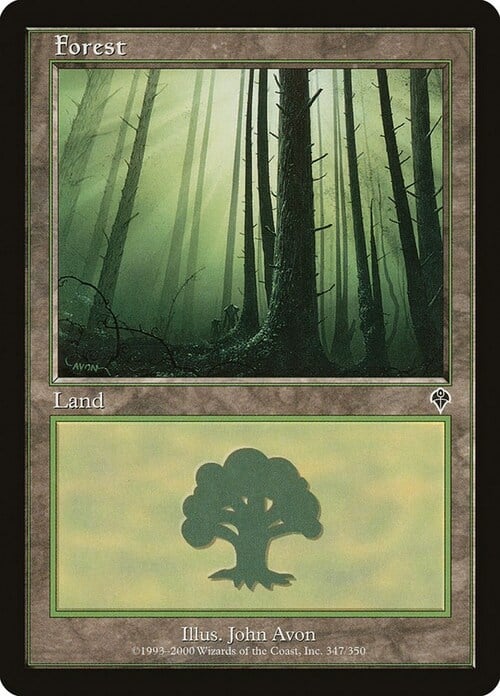 Forest Card Front