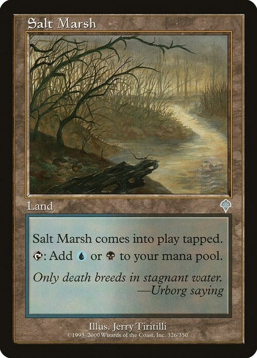Salt Marsh Card Front