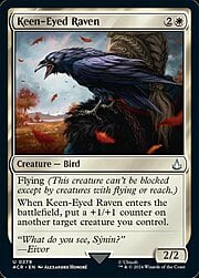 Keen-Eyed Raven 279