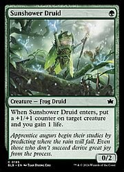 Sunshower Druid 195