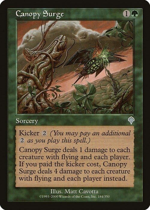 Canopy Surge Card Front