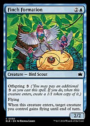 Finch Formation 050