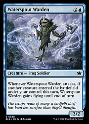 Waterspout Warden 080