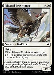 Pileated Provisioner 025
