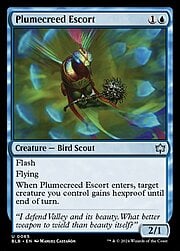 Plumecreed Escort 065