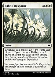 Rabbit Response 026