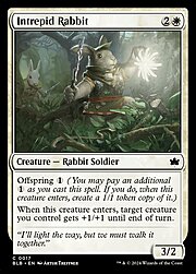 Intrepid Rabbit 017
