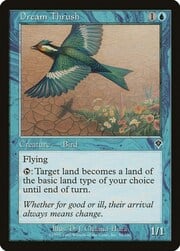 Dream Thrush 053