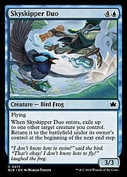 Skyskipper Duo 071