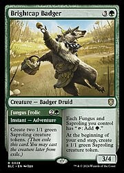 Brightcap Badger 028
