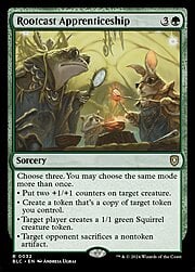 Rootcast Apprenticeship 032