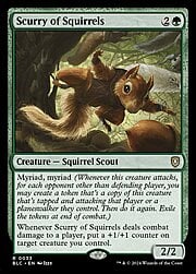 Scurry of Squirrels 033