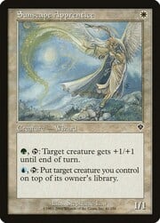 Sunscape Apprentice 041