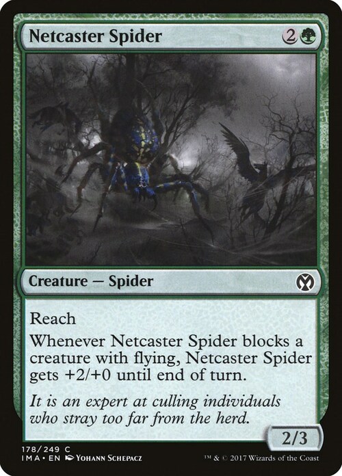 Netcaster Spider Card Front