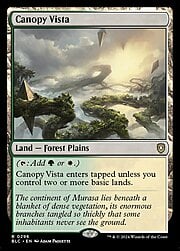 Canopy Vista 296