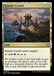 Seaside Citadel 329