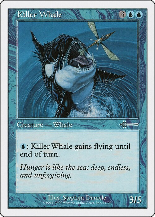 Killer Whale Card Front