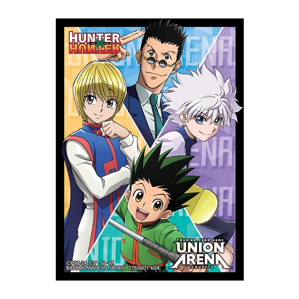 HUNTER X HUNTER 60 Sleeves