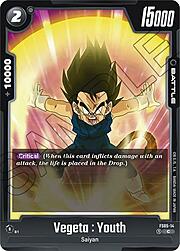 Vegeta : Youth FS05-14