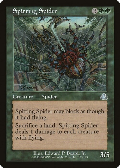 Spitting Spider Card Front