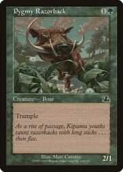 Pygmy Razorback 120
