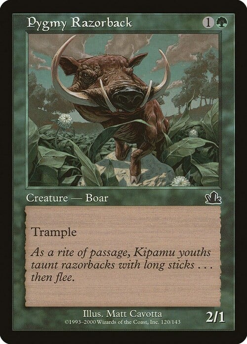 Pygmy Razorback Card Front