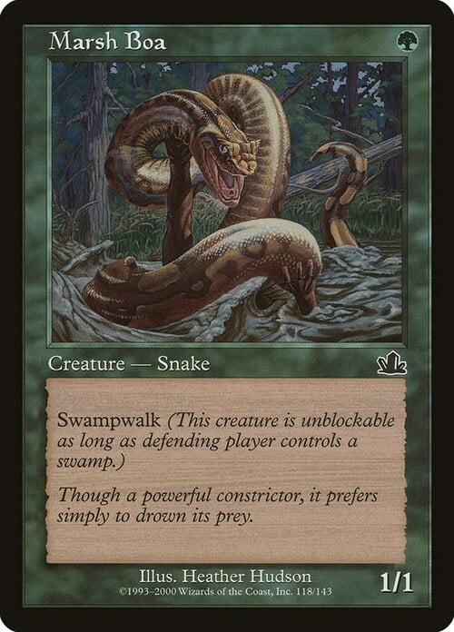 Marsh Boa Card Front