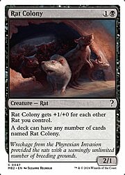 Rat Colony 047