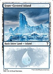 Snow-Covered Island 117
