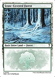 Snow-Covered Forest 120