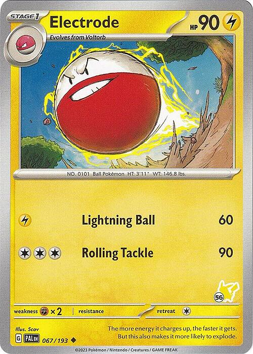 Electrode Card Front