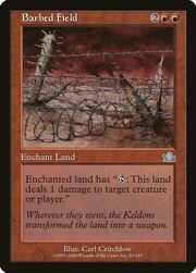 Barbed Field 083