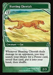 Hunting Cheetah 134