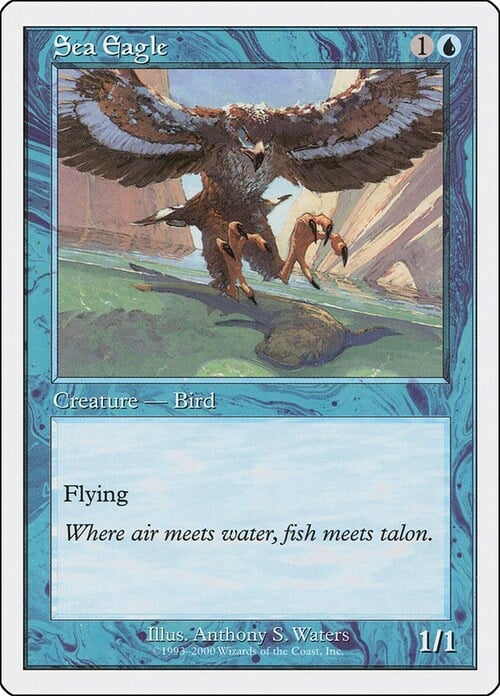 Sea Eagle Card Front