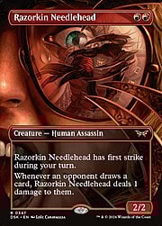 Lamide Testachiodata