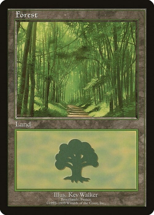 Forest Card Front