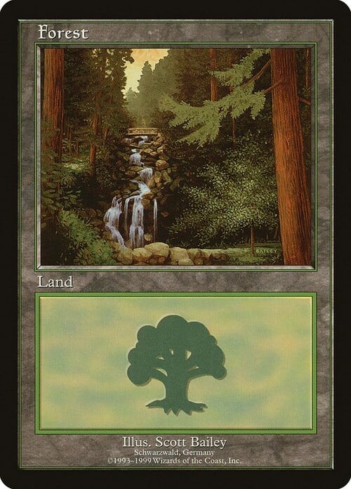 Forest Card Front