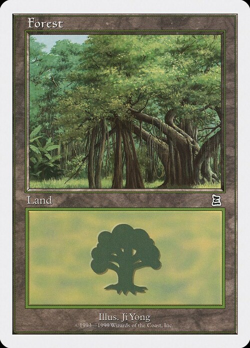Forest Card Front