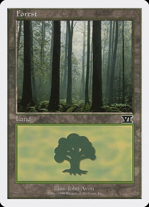 Forest Card Front