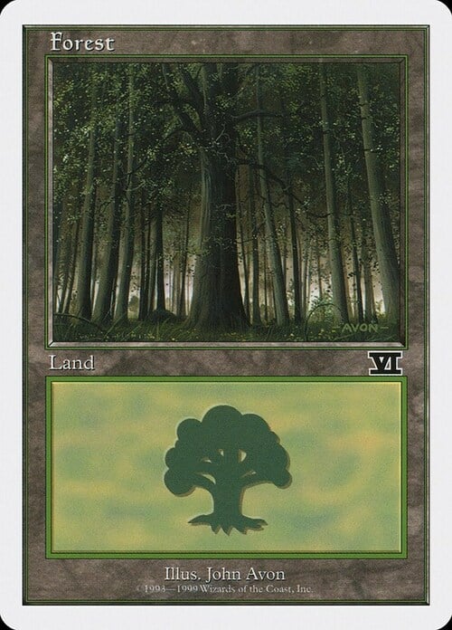 Forest Card Front