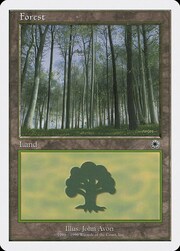 Forest · 104 104