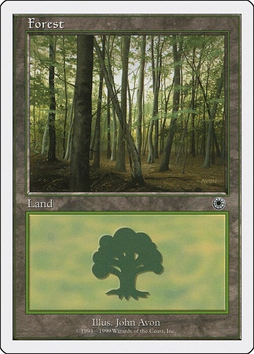 Forest Card Front