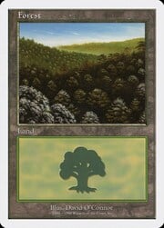 Forest · 101 101