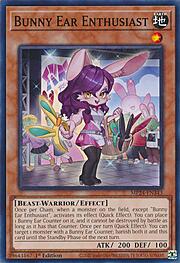 Bunny Ear Enthusiast · Common 343