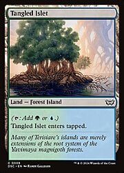 Tangled Islet 306